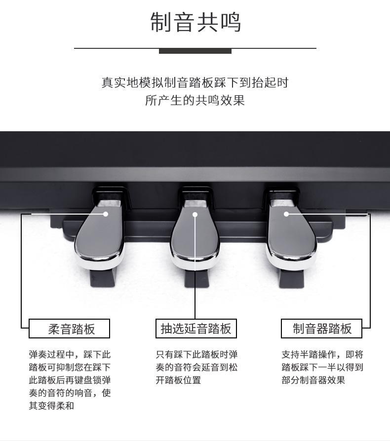 PX-160GD/BK