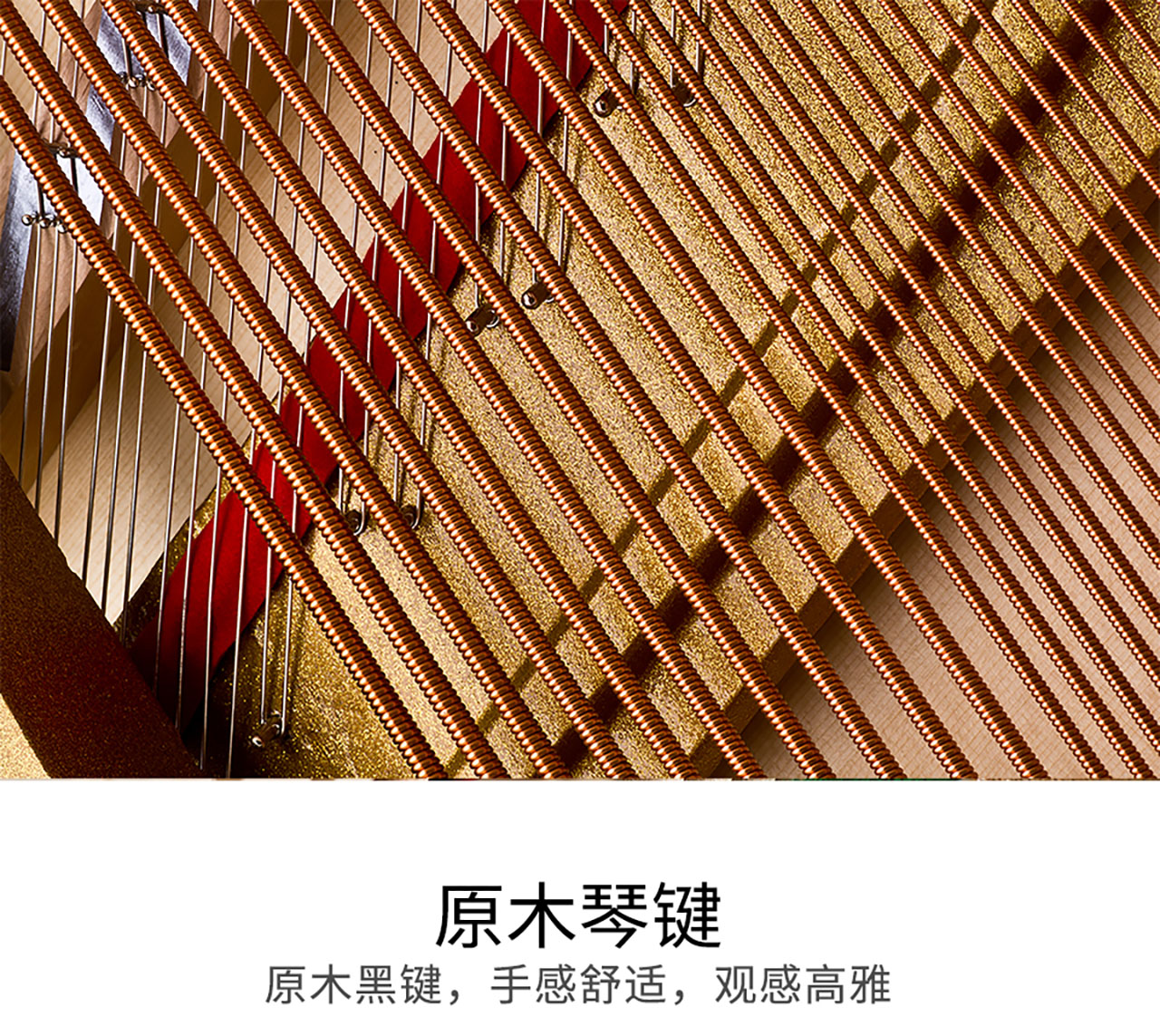 里特米勒RN1