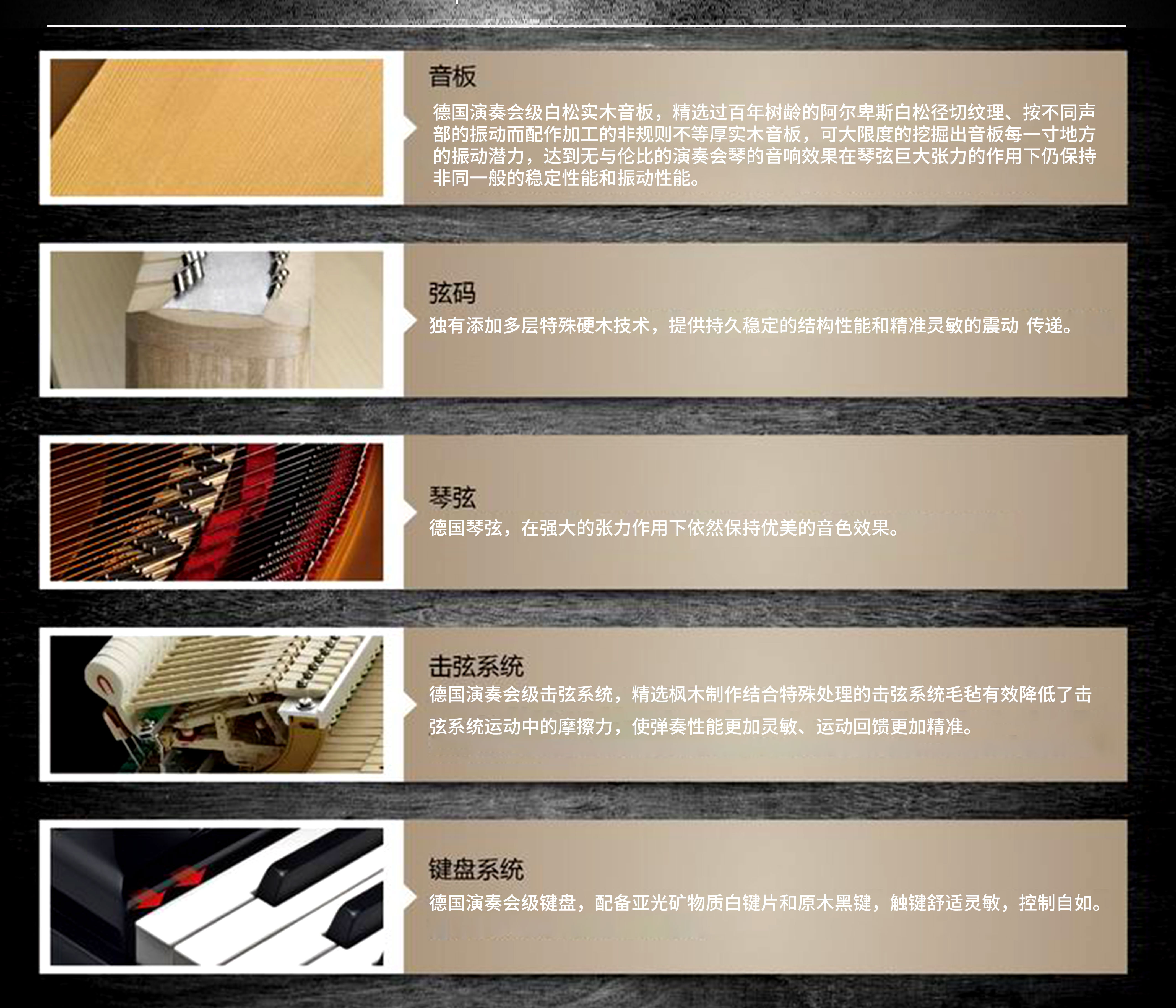 凯撒堡KD212